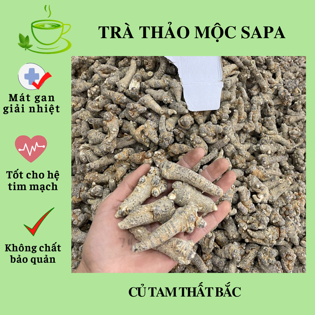 Củ tam thất bắc, bột tam thất giúp ức chế khối u Trà Thảo Mộc Sapa 500gr