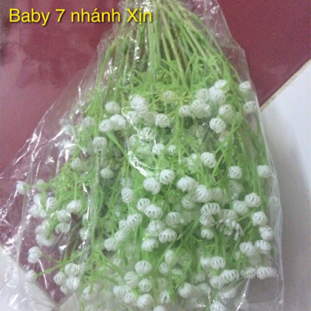 Cành hoa baby 7 nhánh