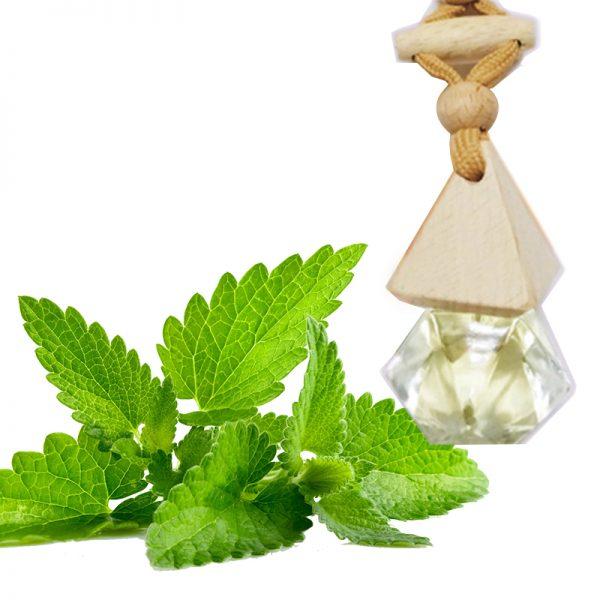 Tinh dầu treo xe ô tô, xe hơi Bạc hà (Peppermint) thiên nhiên Apsara - Nhập khẩu Ấn Độ