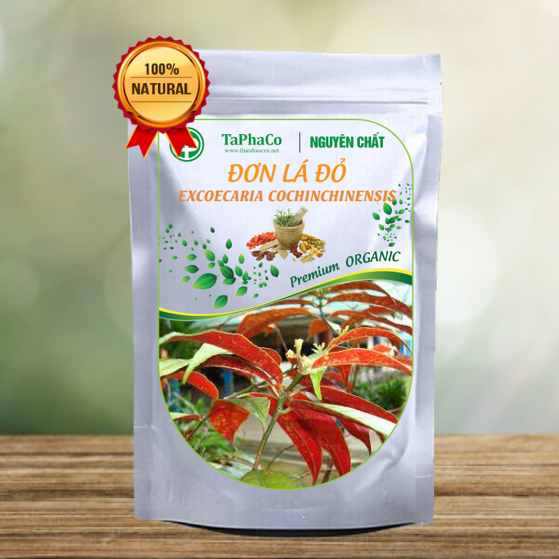 Lá đơn đỏ khô 100g - thảo dược tấn phát