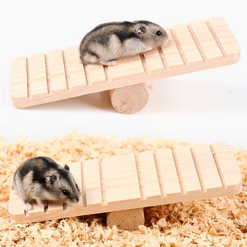 Hamster Bập Bênh Vật Nuôi Nhỏ Chuột Lang Gỗ Cân Bằng Gỗ Cầu Gỗ Cầu Cây Cầu