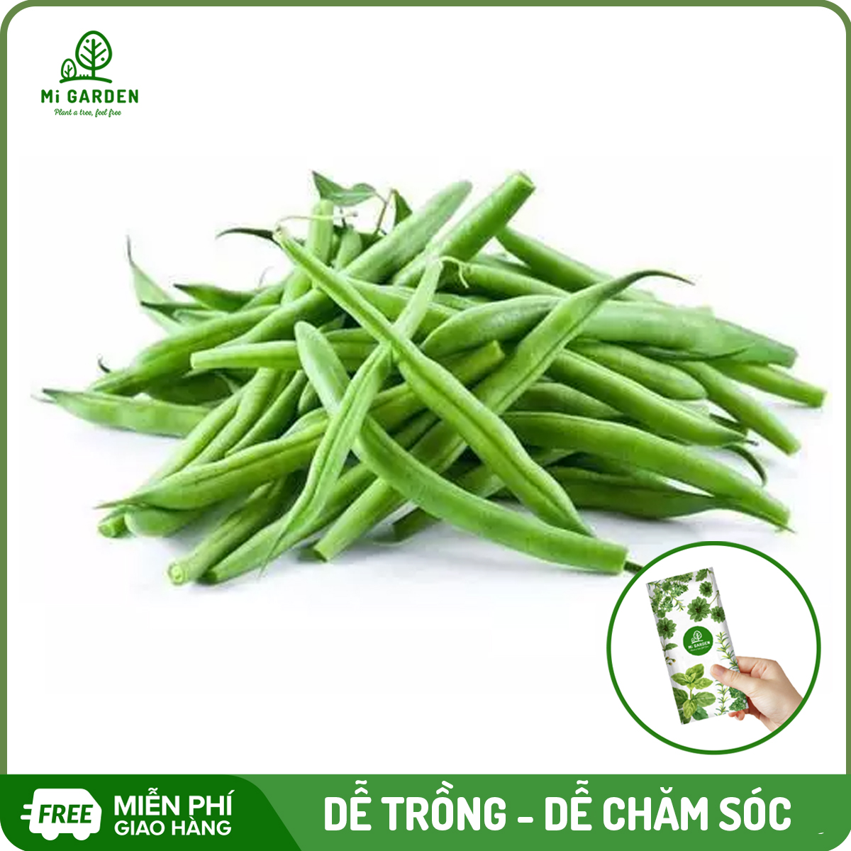 Hạt giống Đậu Cove, đậu Que Lùn Mi Garden Cho Quả Giòn Ngọt, Dễ Trồng Dễ Chế Biến Thành Nhiều Món Ăn - Gói 10 Gram