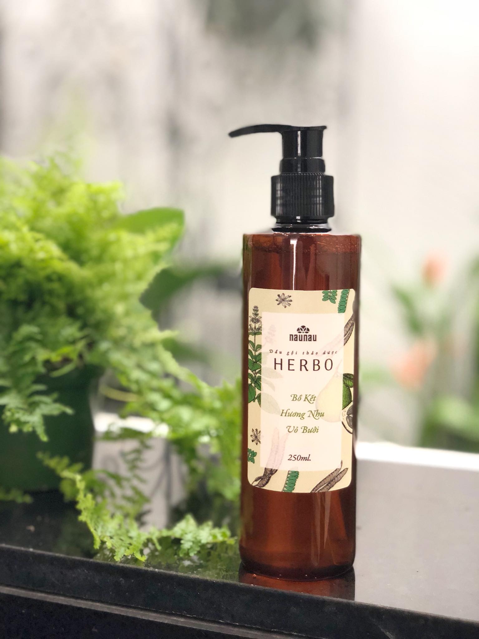 Dầu gội thảo dược herbo