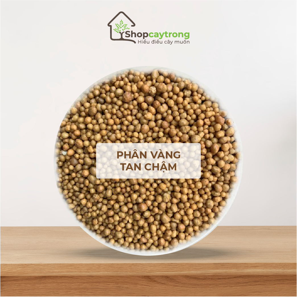 Phân vàng tan chậm Osmocote nhập khẩu Hà Lan , dùng cho mọi loại cây trồng