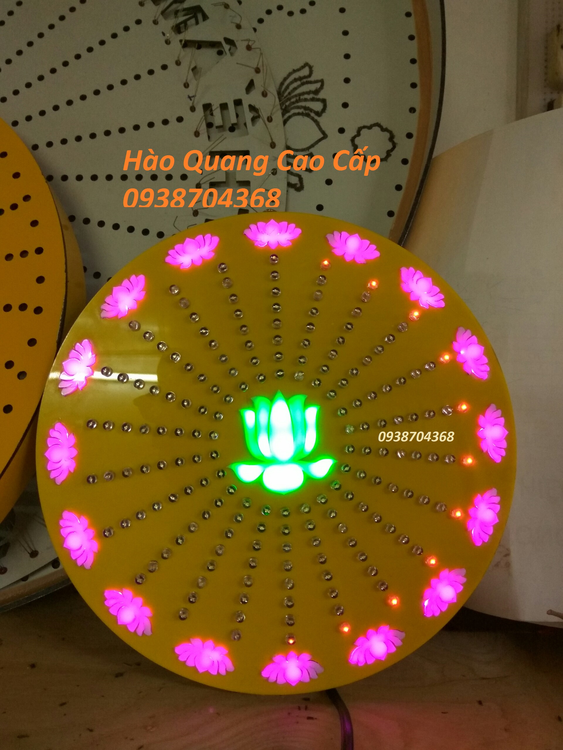 [HCM]Hào Quang  SEN Cao Cấp 16cm