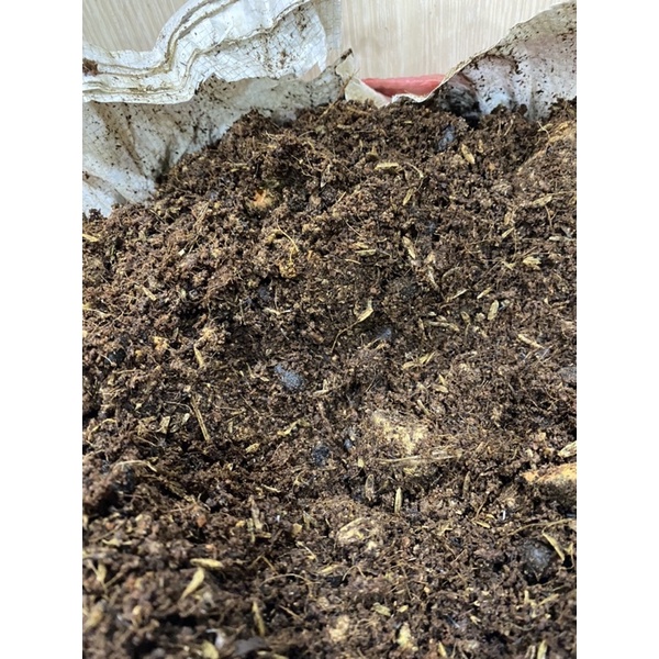 1kg giá thể trồng hương thảo, bạc hà, dâu tây và gia vị tây - đất trộn tốt cho cây trồng