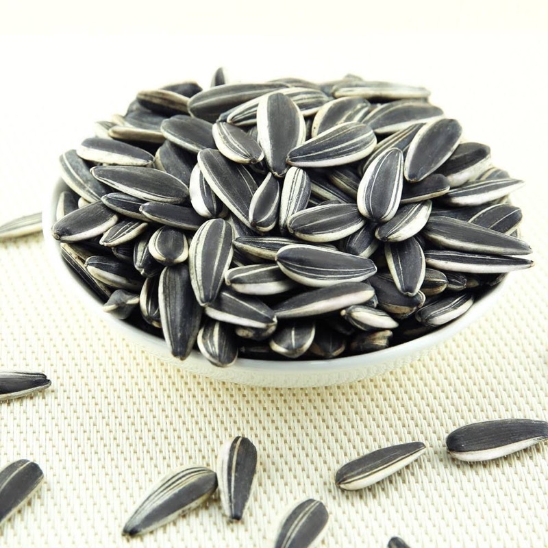 Hướng dương 40gr hámter thỏ bọ ú nhím sóc