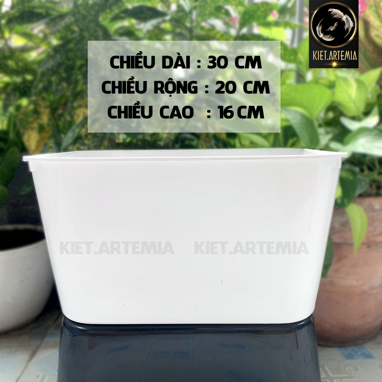 Khay nhựa nuôi cá, thùng nhựa nuôi cá guppy, betta