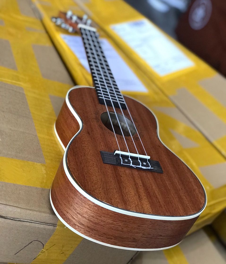 Đàn ukulele gỗ mahogany size concert 63cm - tặng kèm bao, phím và sách học - Bảo hành 1 năm