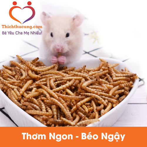 Sâu khô cho chuột hamster - sâu lớn - 50g - vỗ béo cực nhanh
