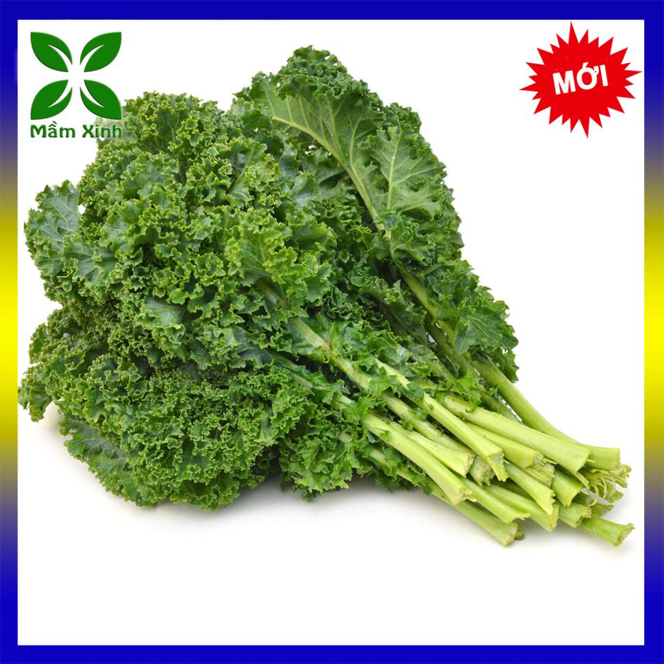 Hạt giống cải rổ xoăn tn69, hạt giống cải kale gói 10gr