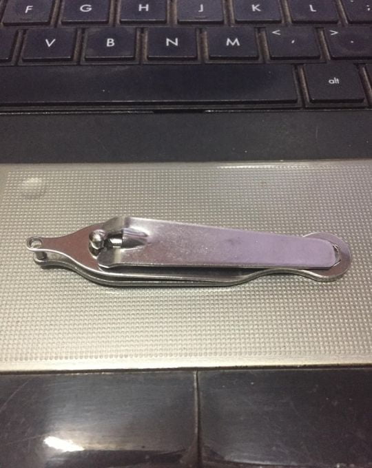 Mùng trùm bội tròn lớn cho gà ngủ