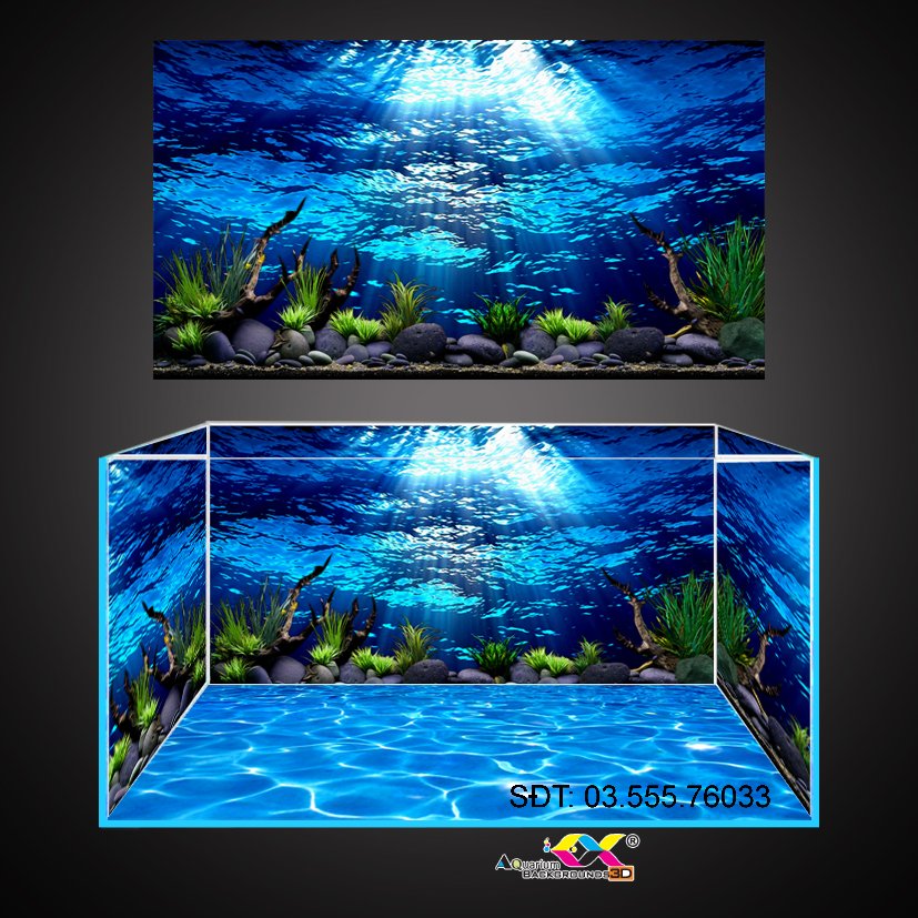 Bạn thích những trang trí độc đáo và sang trọng? Tranh 3D dán bể cá chính là một lựa chọn hoàn hảo cho bạn. Với những họa tiết ấn tượng và kỹ thuật đặc biệt, chúng sẽ làm cho bể cá của bạn trở nên đặc biệt và cá tính hơn bao giờ hết. Hãy khám phá những tác phẩm nghệ thuật này thông qua hình ảnh của tranh 3D dán bể cá.
