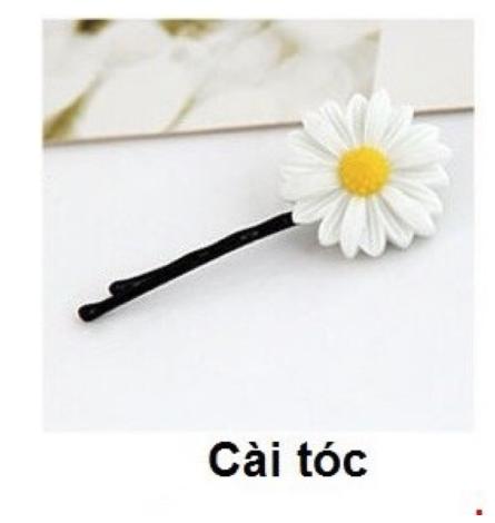 [HCM]5 Kẹp cúc họa mi trắng