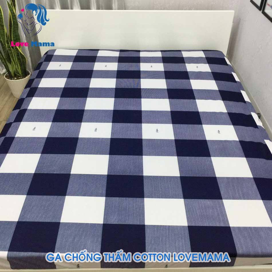 Ga Giường Cotton Poly Kích Thước 1m6, 1m8. Drap Chun Bọc Đệm Không Vỏ Gối