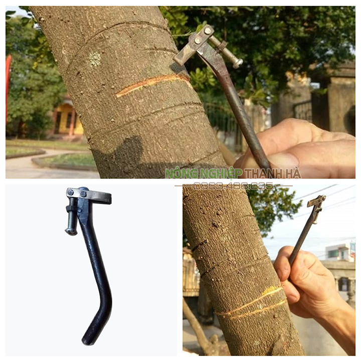 Dụng cụ khoanh vỏ cây có ốc loại nhỏ