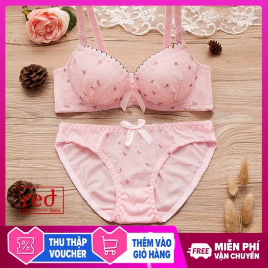 [HCM]Combo bộ đồ lót nữ sò điệp siêu dễ thương quyến rũ mút mỏng có gọng size 323436 [Aha Store]