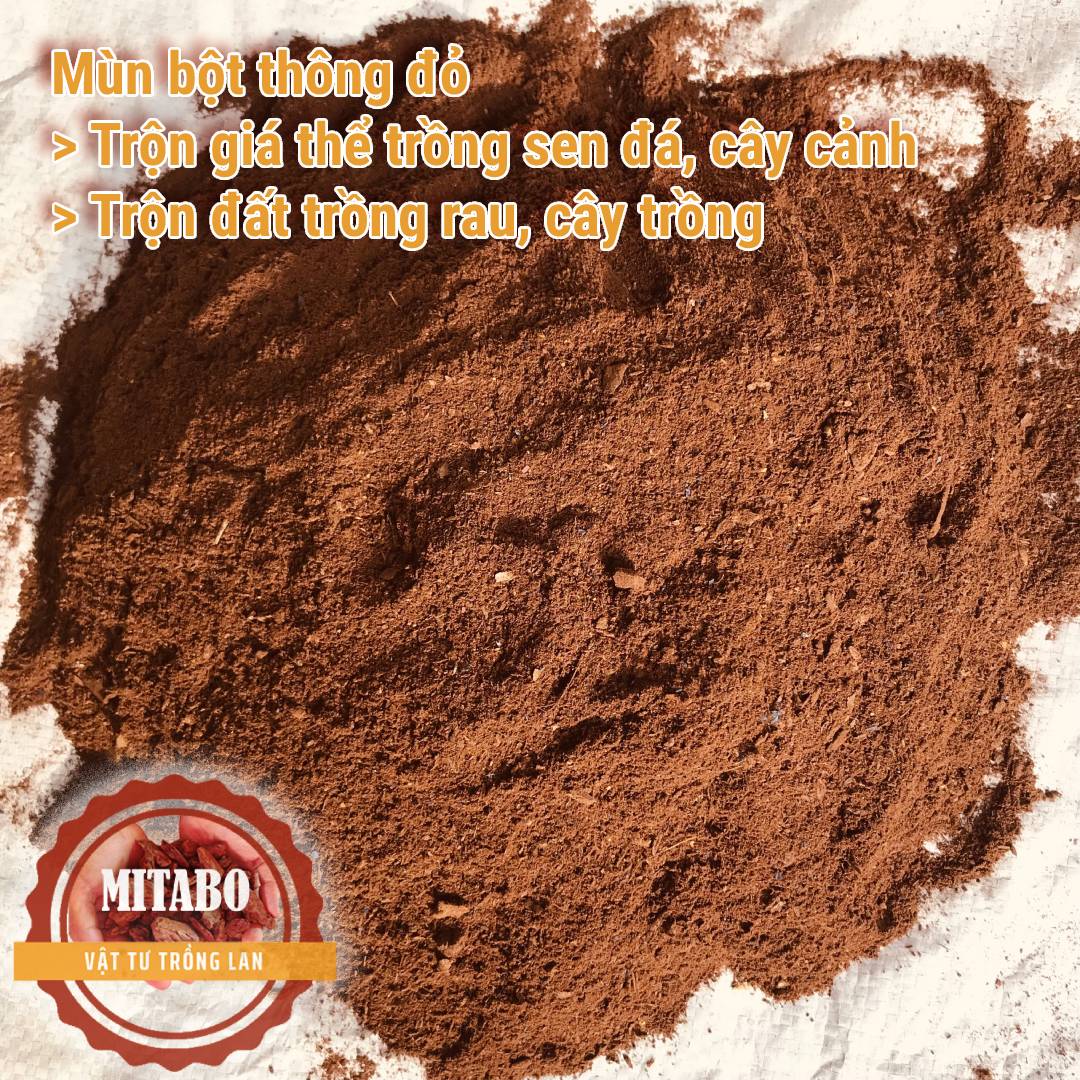 Combo 5kg Bột vụn vỏ thông đất trồng sen đá, cây cảnh Mitabo