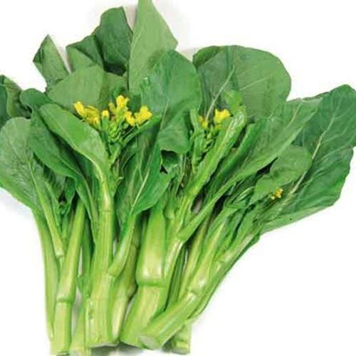 Hạt giống rau cải ngồng mập f1. túi 20 gram