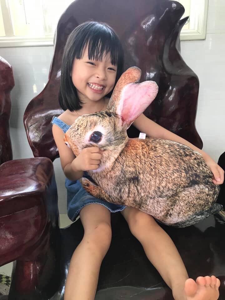 Gối ôm thỏ nâu đáng yêu gối ôm 3d hình con thỏ gối ôm hình thú cho bé gối ôm con thỏ