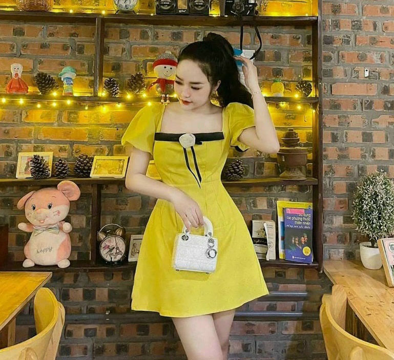 Đầm Nữ xòe đi tiệc hoa trước ngực tapta thích hợp đi chơi, đi dạo thời trang HARI