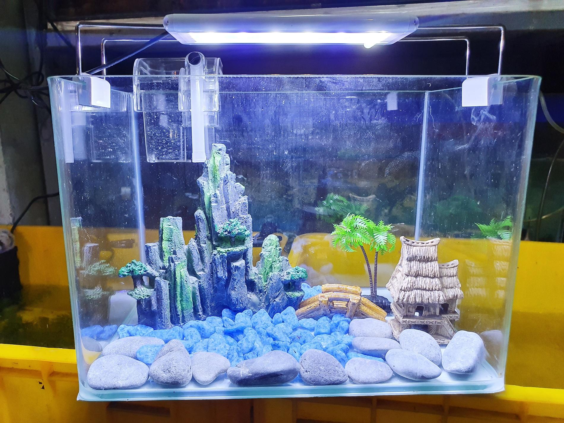 "hoàn tiền đến 10%" combo hồ cá trang trí sẵn 30x19x21cm 770