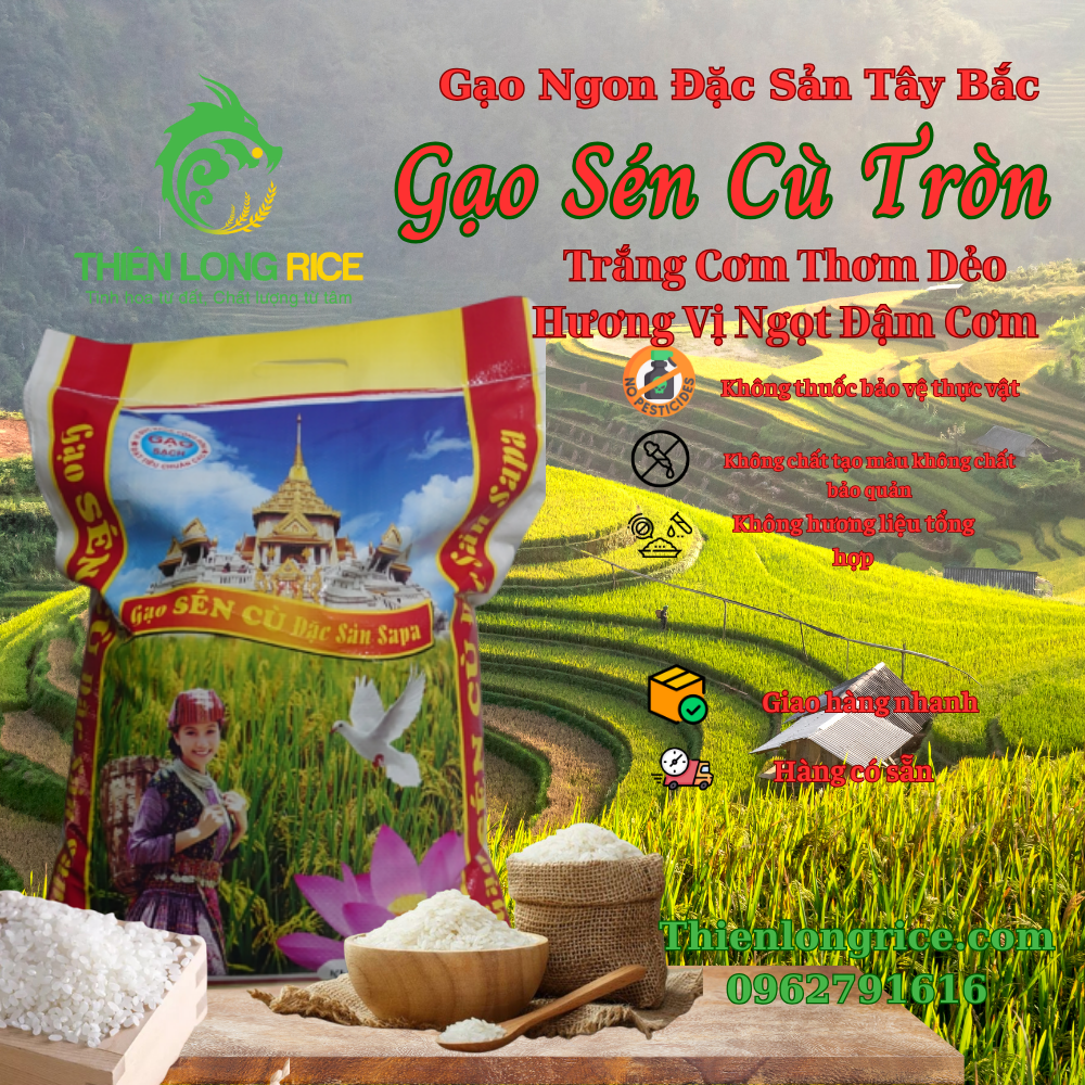 Gạo sén cù hạt tròn đặc sản sapa hàng loại 1 thiên long rice chuẩn cơm thơm ngon
