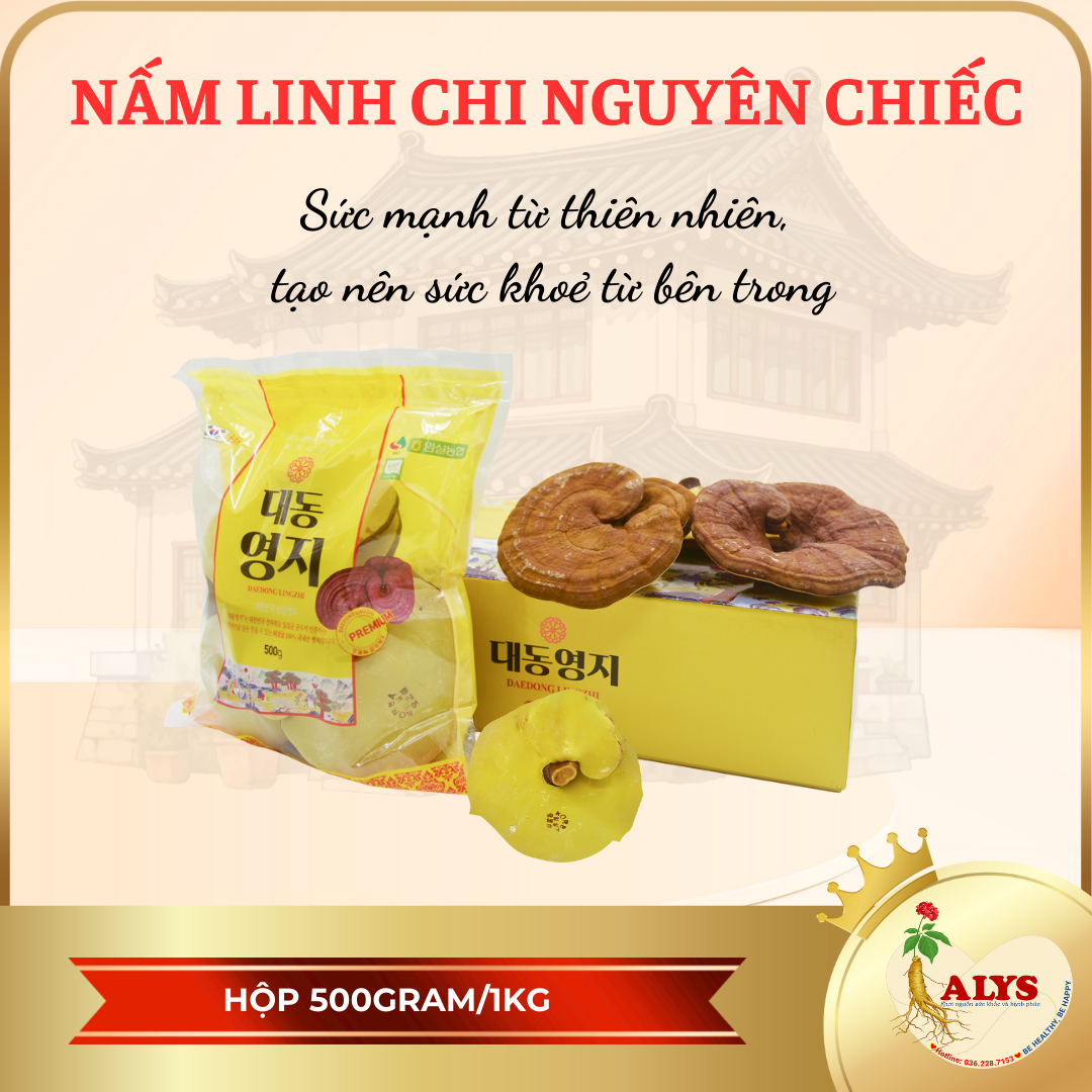 Nấm Linh Chi Daedong Hàn Quốc ( Hộp 1000 gram )