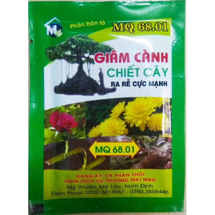 Phân bón ra rễ cực mạnh cho Giâm cành, chiết cây