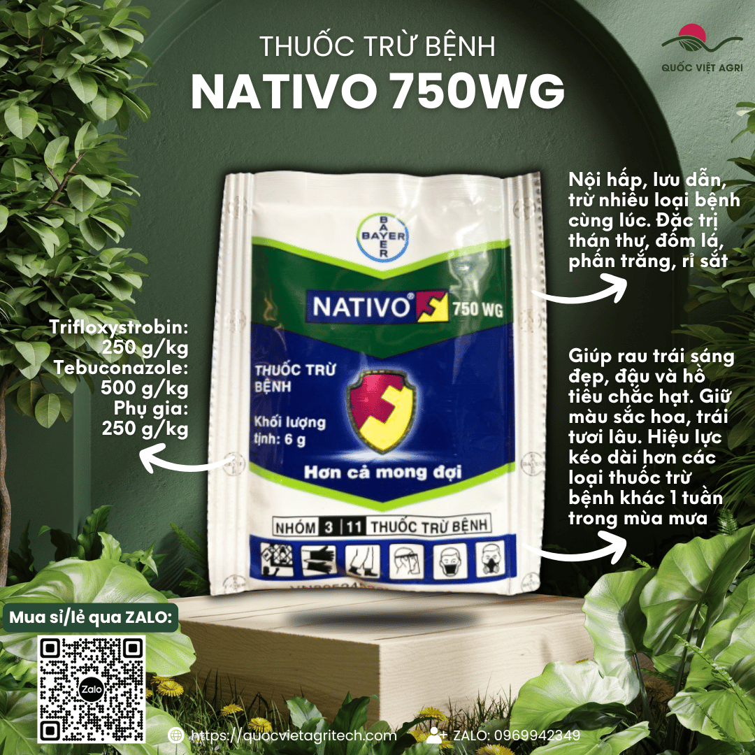 (1 gói - 10 gói) Thuốc trừ bệnh NATIVO 750WG (6g) - Trifloxystrobin 250g/kg + Tebuconazole 500g/kg Chuyên trừ các loại nấm bệnh cây trồng