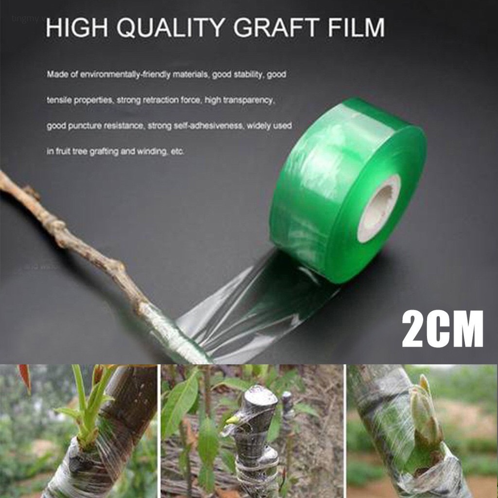 Băng dính chiết cành cây tự hủy bản rộng 2cm