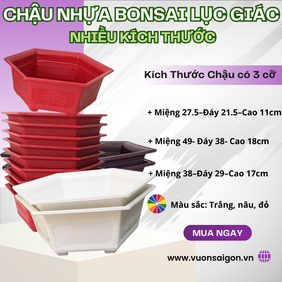 Chậu Bonsai lục giác 28 (Miệng 28 – Đáy 21.5 – Cao 11 cm), trồng bonsai bền đẹp Vườn Sài Gòn - Vuon Sai Gon