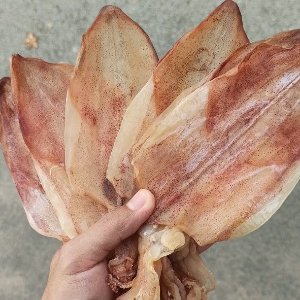Khô mực Cà mau loại ngon giá rẻ