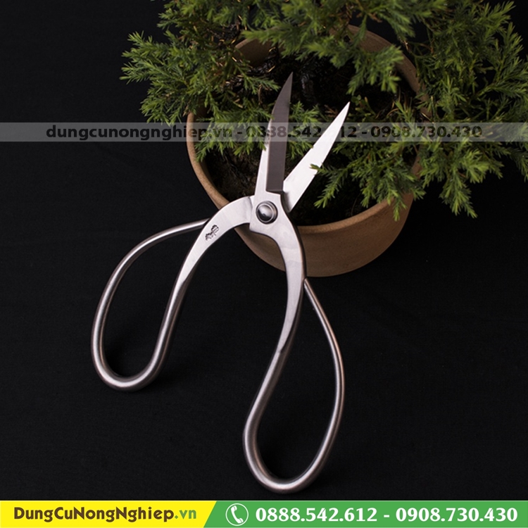 Kéo tỉa bầu bonsai cao cấp thép trắng Ryuga