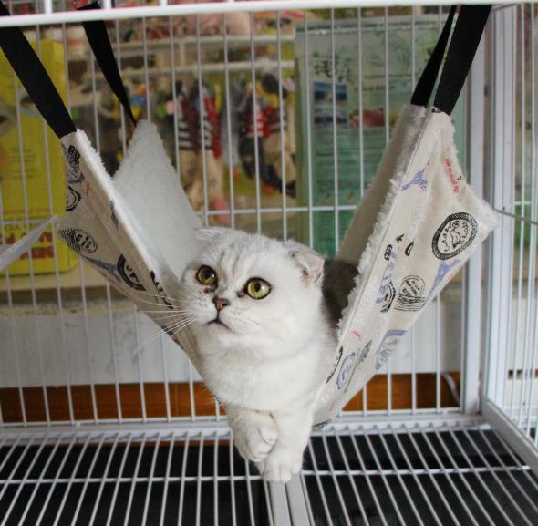 Võng cho mèo siêu xinh, võng cho thú cưng 3 size đa dạng, võng cho bé mèo