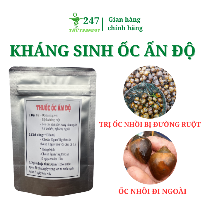 Kháng sinh ốc Ấn Độ dành cho ốc bươu đen đường ruột, sưng vòi, nổi nghiêng, đi ngoài
