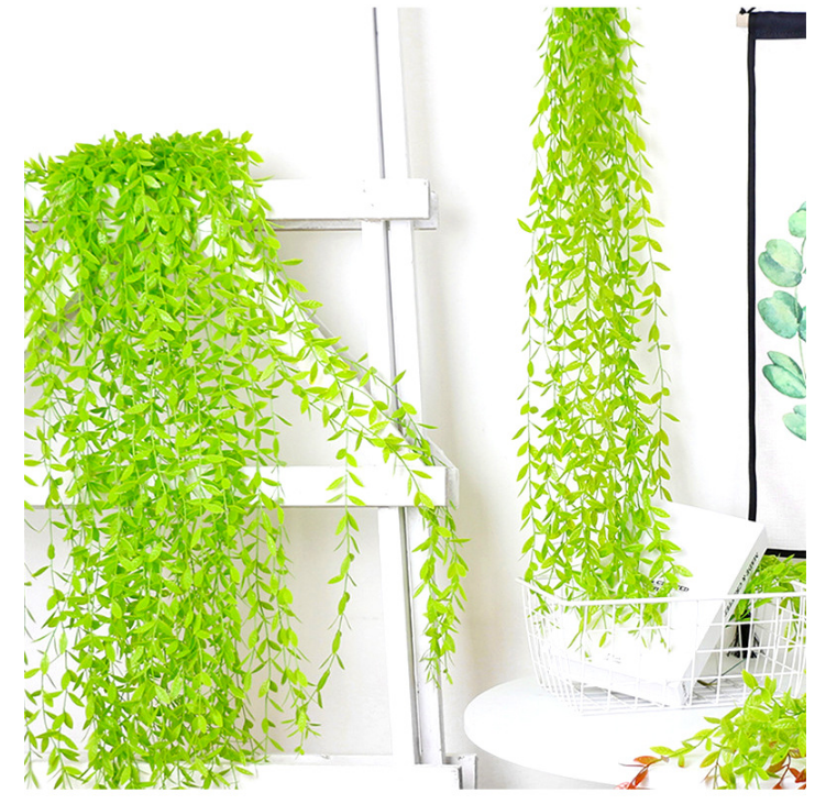Cành dây leo lá giả - Lá cúc tần ấn độ dài 105cm trang trí