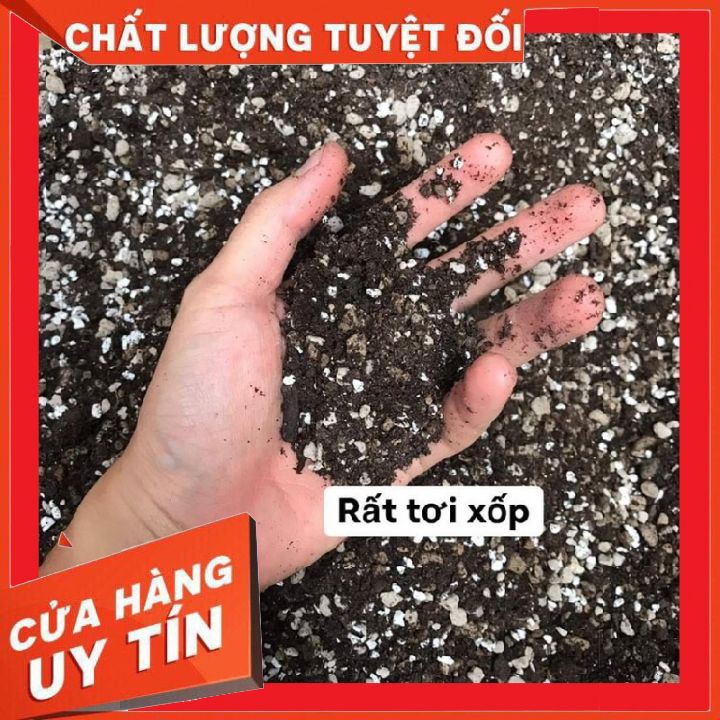 Đất trồng sen đá, xương rồng 200g🔥FREE SHIP🔥 siêu phẩm trồng sen đá, xương rồng