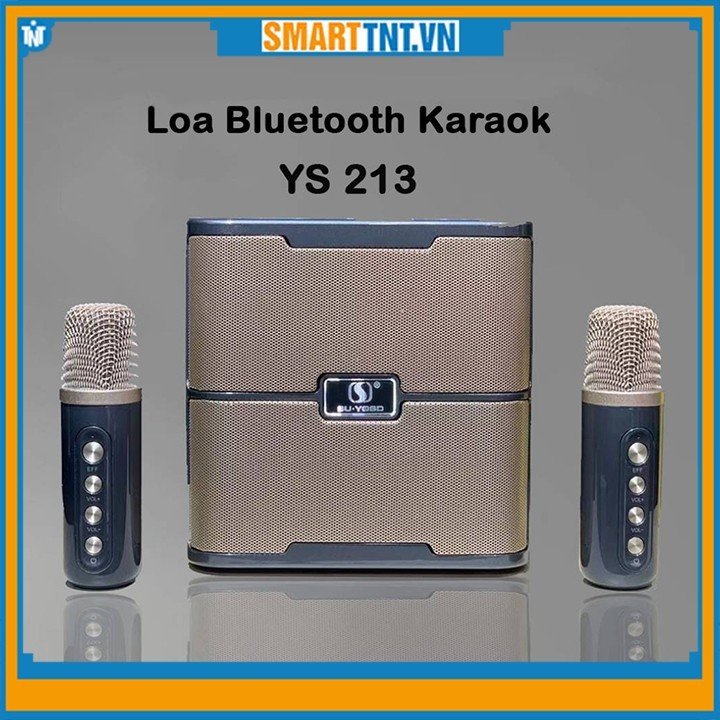 Loa karaoke bluetooth 2 mic không dây YS 213 âm thanh sống động, thiết kế hiện đại,.