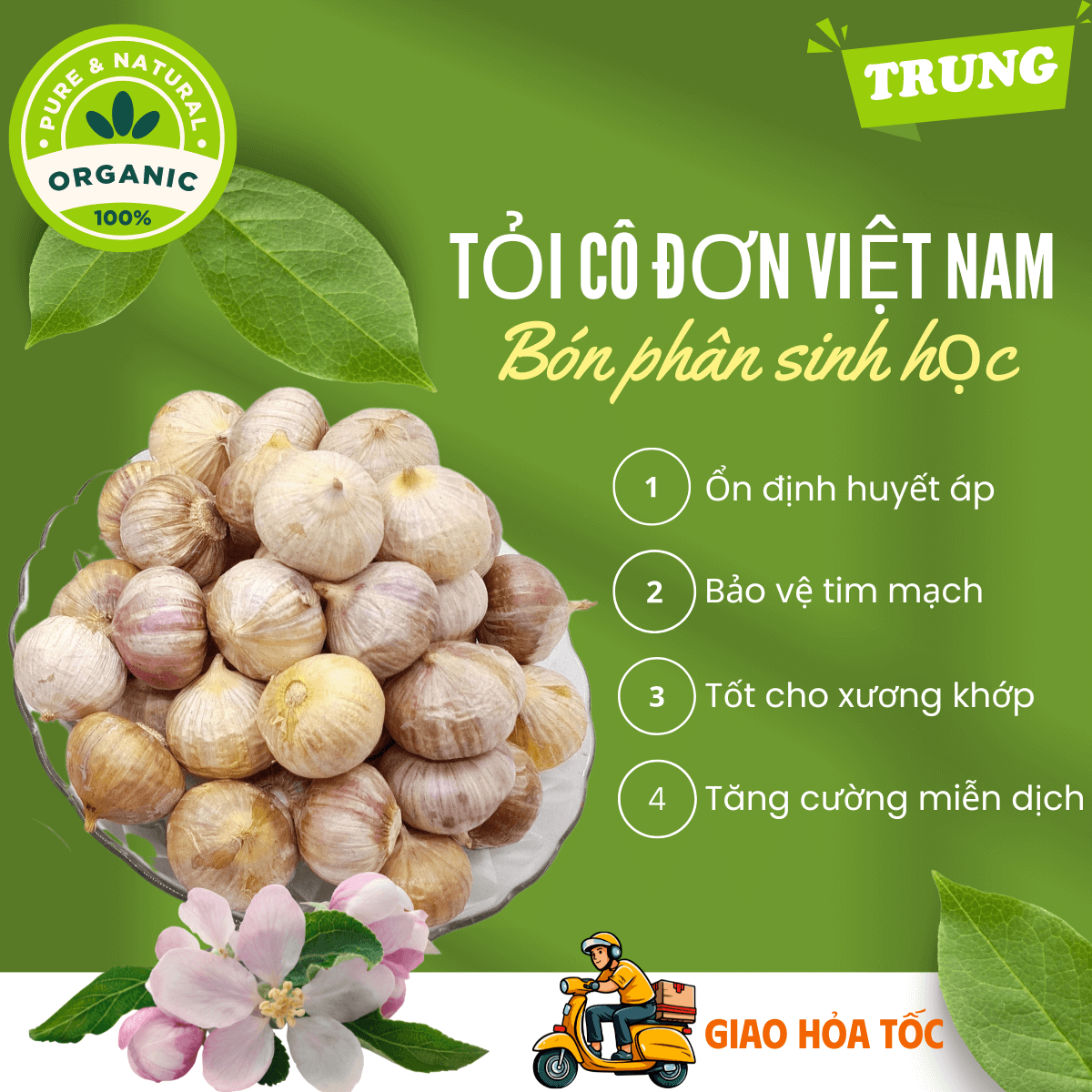 [Organic] [HCM] 500gr Tỏi cô đơn Việt Nam, tỏi mồ côi thơm ngon, tỏi 1 nhánh chắc củ loại TRUNG không hóa chất tăng trưởng, tốt cho sức khỏe - thương hiệu VỢ CHỒNG TÔI