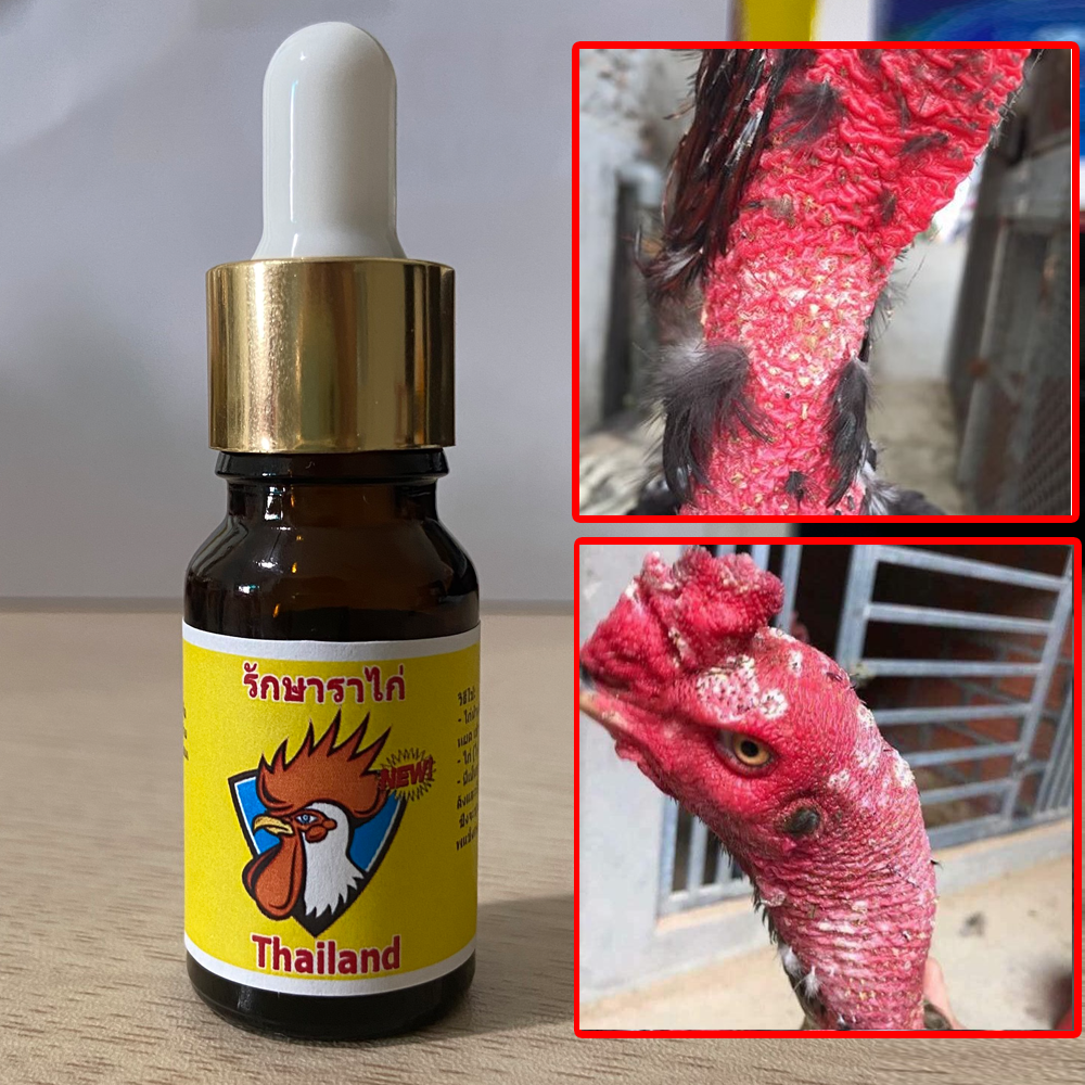 Thuốc chữa nấm mốc Ưu Việt, chữa mốc lác cho Gà Chọi, Gà Đá khỏi sau 1 lần bôi - Nhập khẩu Thái Lan