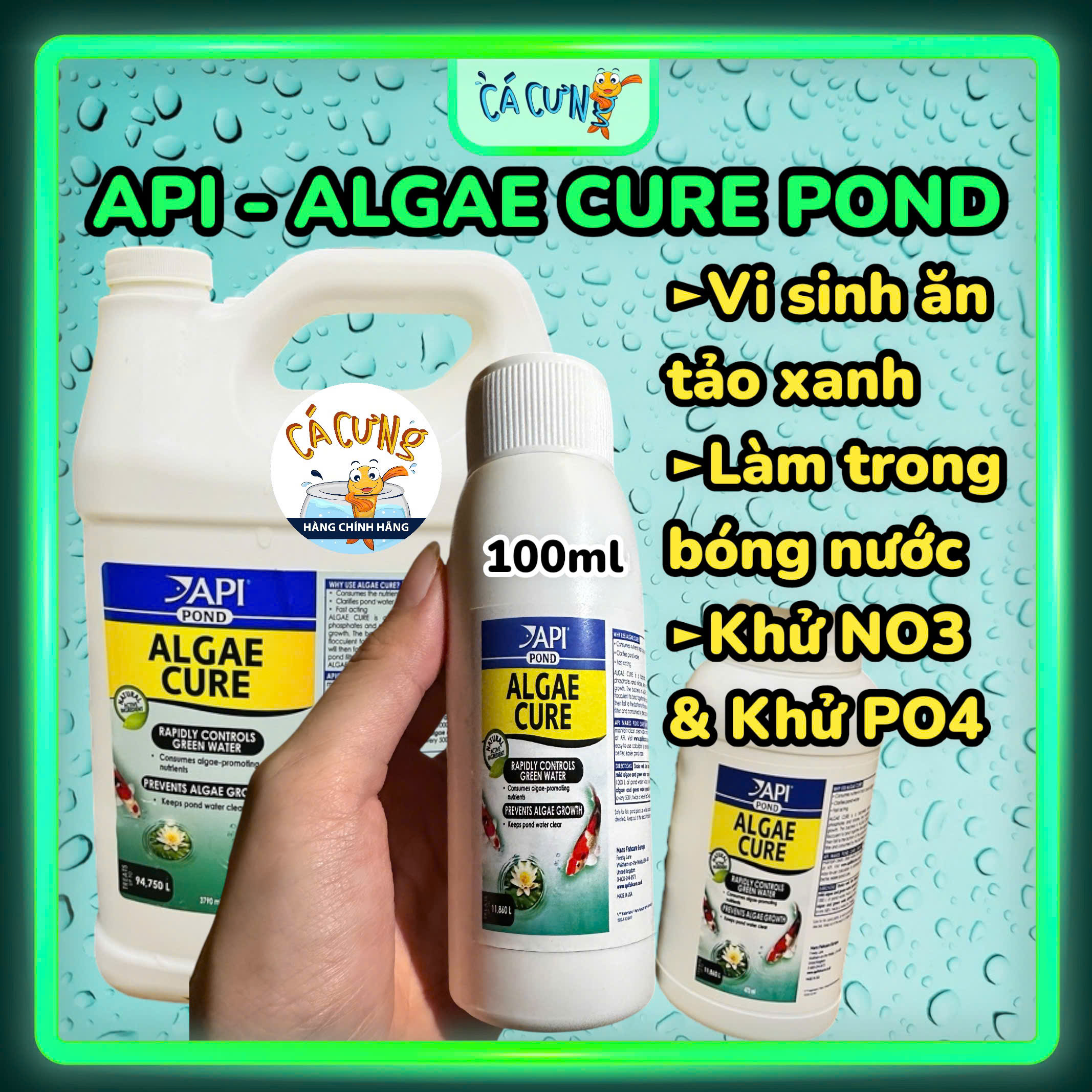 Vi Sinh API ALGAE CURE POND - Vi sinh ăn tảo Sống, làm trong nước, khử NO3 & PO4 (HÀNG CTY)