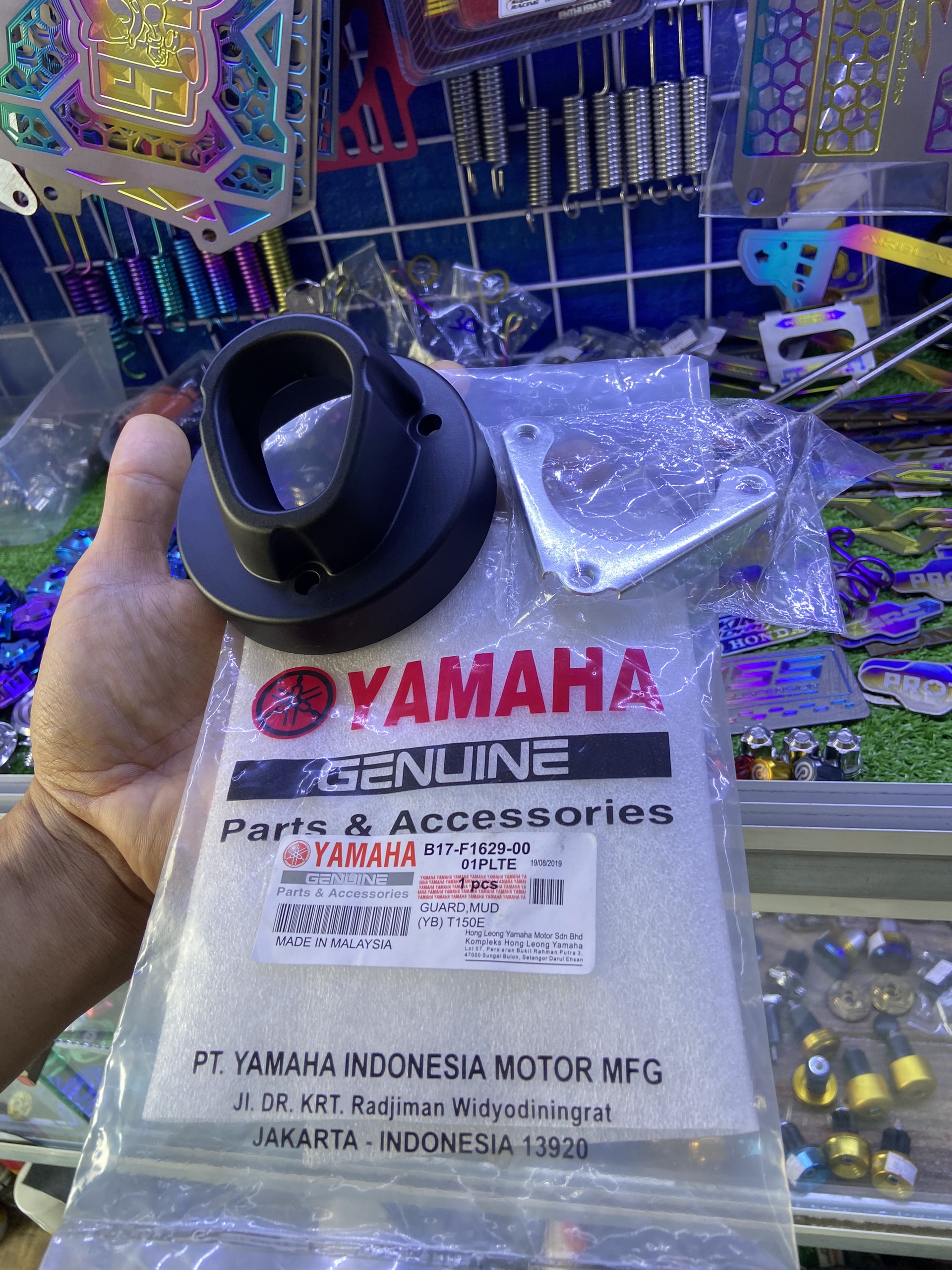 Chụp đít pô tfx