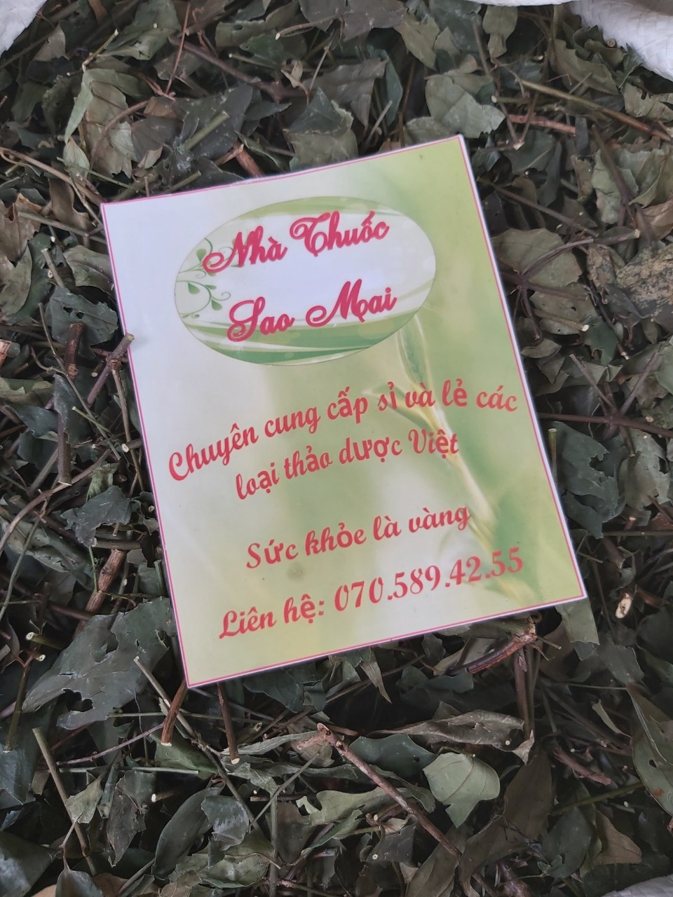 1kg lá chè vằng sẻ Quảng Trị khô nguyên chất