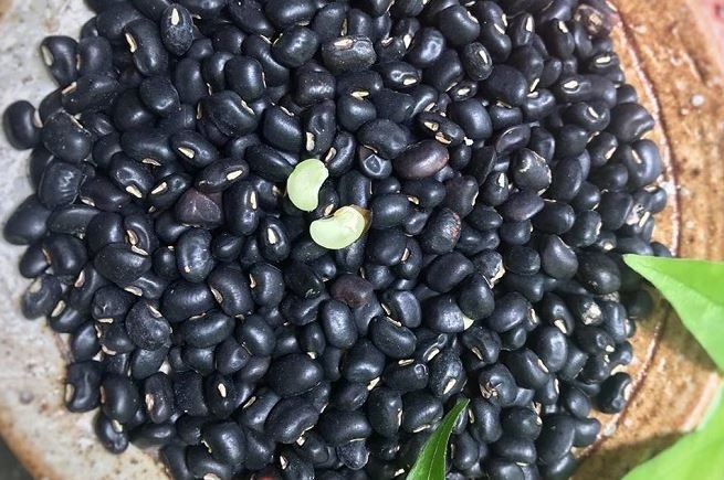 Đậu đen xanh lòng đã rang thơm hạt to tròn 500g