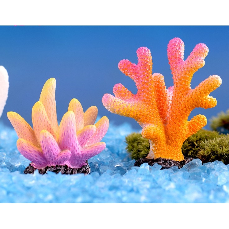 Bộ sưu tập hình ảnh san hô dưới biển với hơn 999 hình ảnh chất