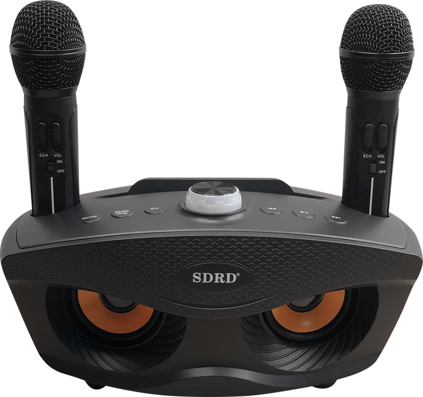Loa karaoke mini Mắt Cú sd306