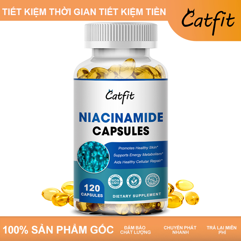 Catfit Nicotinamide Capsules Vitamin B3 500g Promotes Healthy Skin for