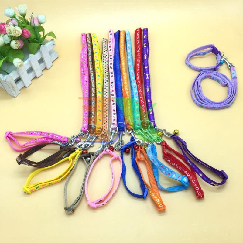 Dây dắt kèm vòng cổ 1 chuông