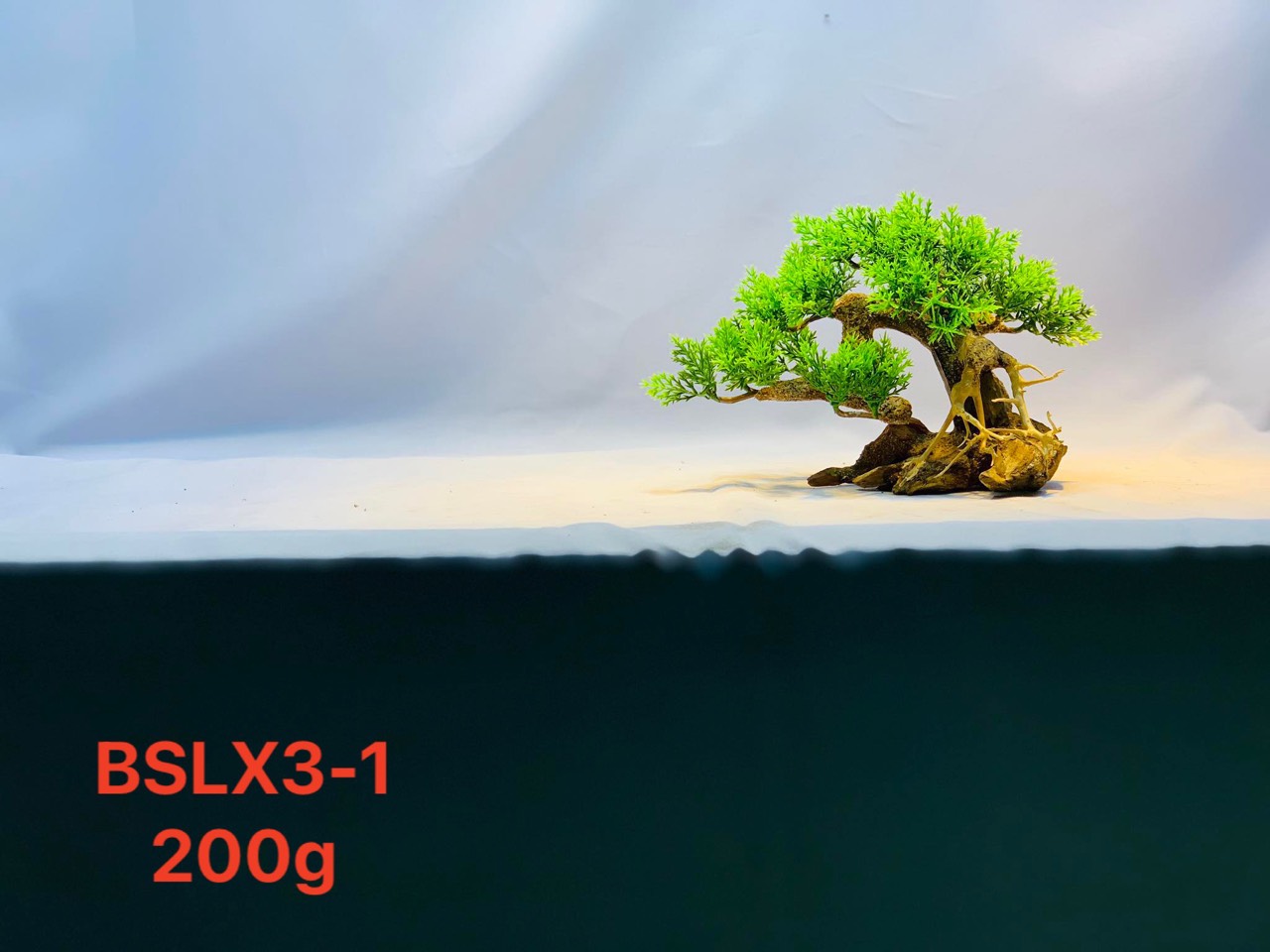 Gỗ lũa thủy sinh _ BSLX3 Driftwood bonsai_15 x 20 Bonsai lá _Cây gỗ lũa bonsai dáng đổ